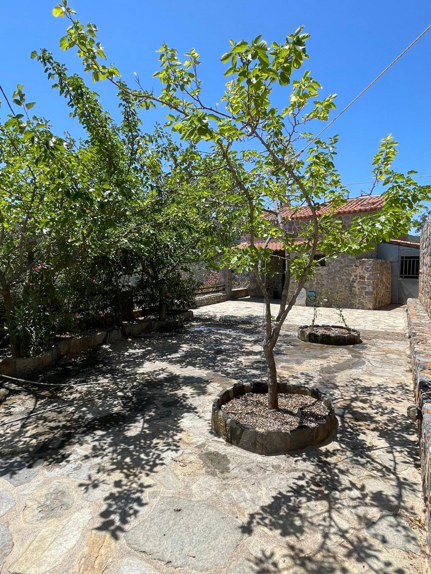 Guesthousekamara Monemvasia Ngoại thất bức ảnh